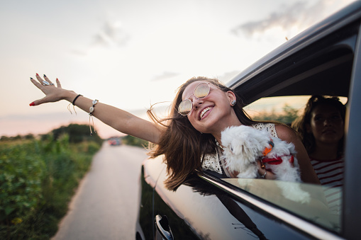 Young and free girl driving in car with head out of window