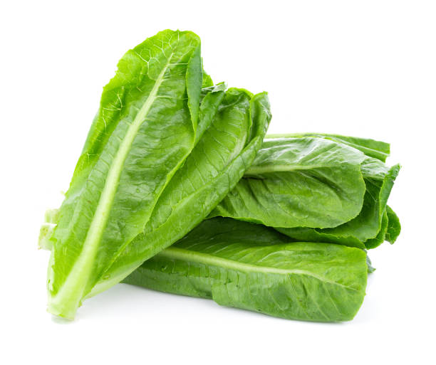 istock fresh cos lettuce isolated on white background 1192106098