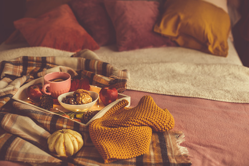 A tray with hot tea, cookies, apple and winter decoration placed on cozy bed.