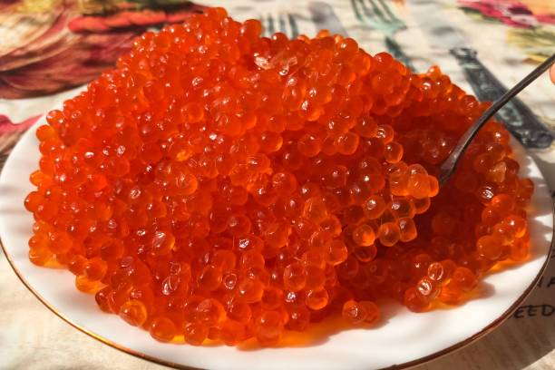 red caviar on plate on the table. salmon caviar. dietary nutriti - plank bread caviar close up imagens e fotografias de stock