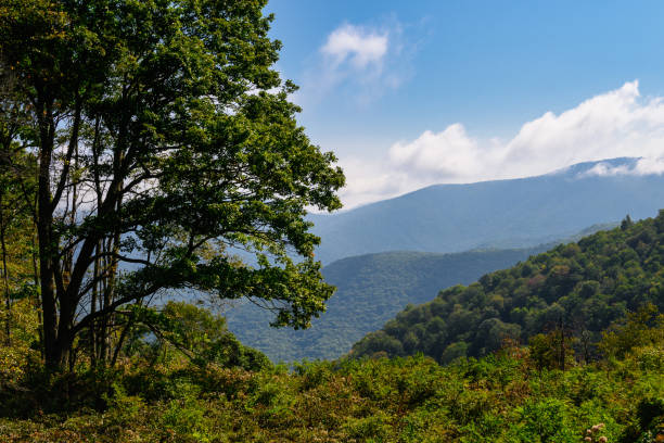 istock Appalachian Mountain View Along the Blue Ridge Parkway 1192109579