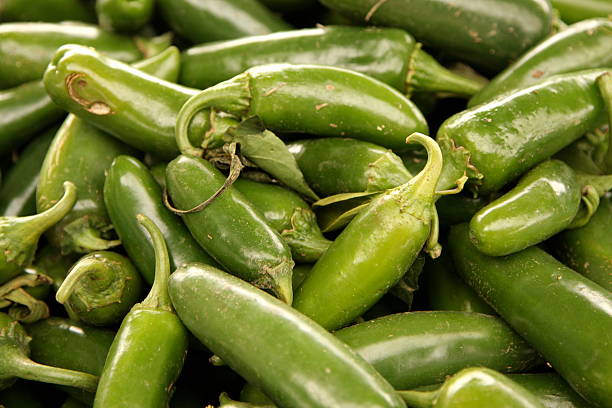 Green Chili Pepper Background stock photo