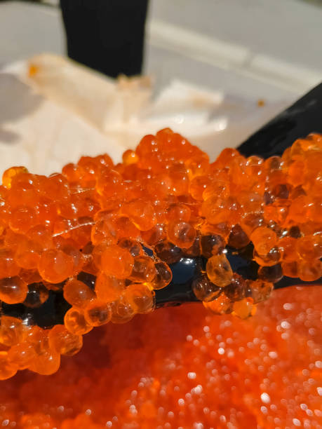 mixing eggs with gloved hand. red caviar in a plastic container. - plank bread caviar close up imagens e fotografias de stock