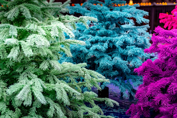2019 Coloured Christmas tree close ups in London.