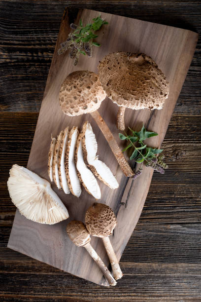 procer's macrolepile - mushroom stem cap plate imagens e fotografias de stock