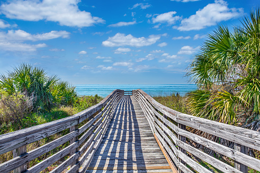 Wooden footpath to the beach surrounded by palm trees. Barrier island on Gulf Coast. Honeymoon Island State Park, Florida, USA.