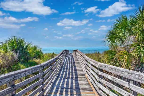 Wooden footpath to the beach surrounded by palm trees. Barrier island on Gulf Coast. Honeymoon Island State Park, Florida, USA.