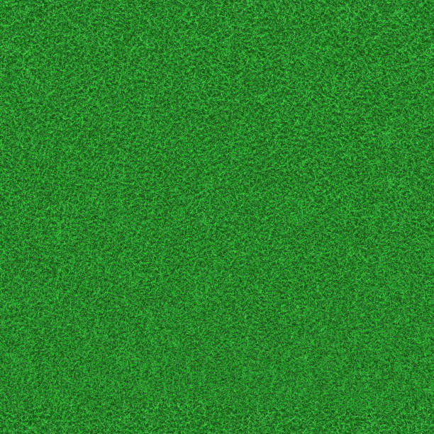 istock Mowed green grass on the lawn with natural texture 1192119267