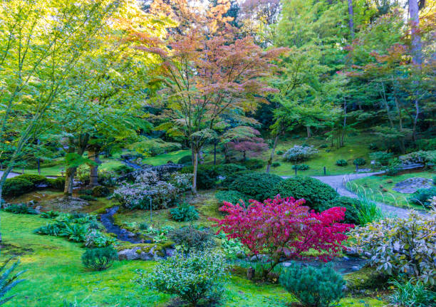 istock Autumn Garden And Stream 2 1192122028