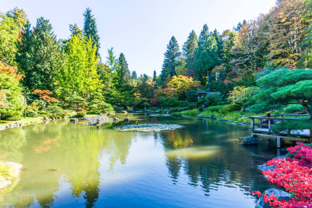 istock Seattle Garden In Autumn 2 1192122082