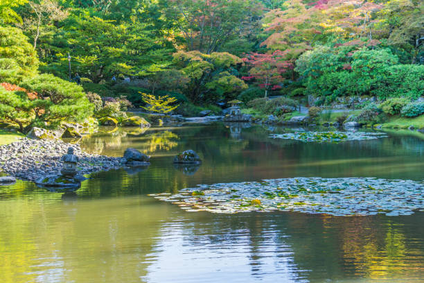 istock Seattle Garden In Autumn 6 1192122092