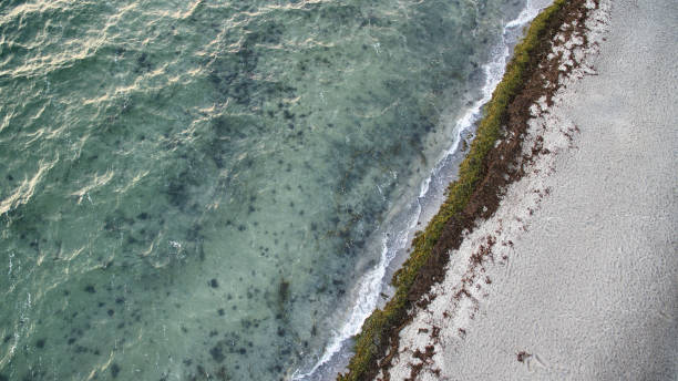 oceano e praia - amager - fotografias e filmes do acervo