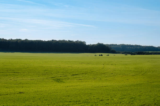 istock green meadow under blue sky on a clear sunny day 1192126859