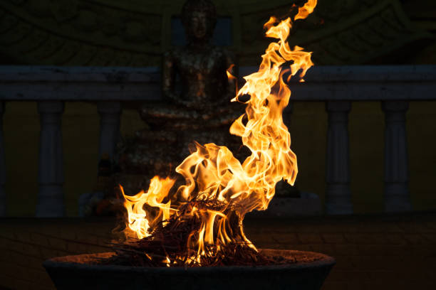 texture of bonfire in the dark background