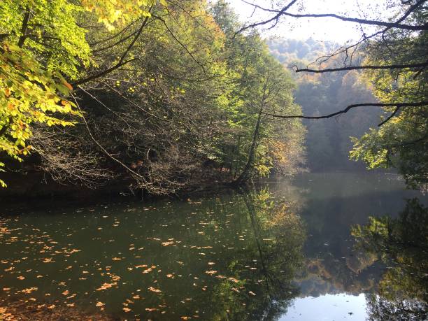 istock Seven lakes in Bolu in autumn 1192128997
