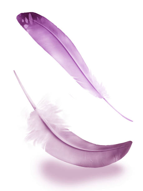 istock Beautiful color feather isolated on white background 1192131982