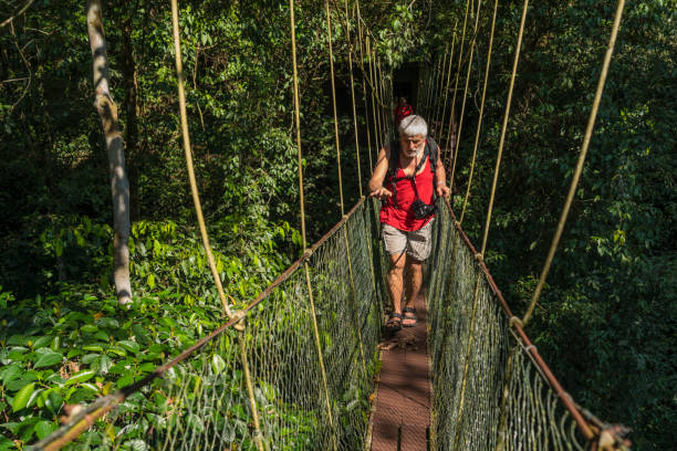istock Famous Tree Top Canopy Walkway in Borneo 1192133649