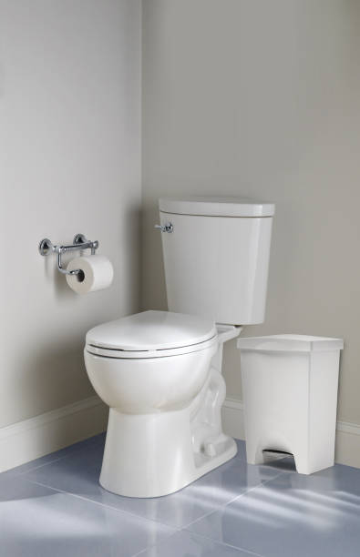 istock Garbage bin beside a toilet seat in a bathroom 1192135398
