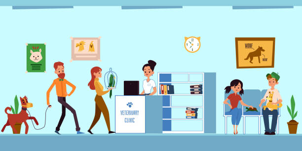 337 Veterinary Receptionist Stock Photos, Pictures & Royalty-Free Images - iStock | Veterinary office, Veterinary team 337 Veterinary Receptionist Stock Photos, Pictures & Royalty-Free Images - iStock | Veterinary office, Veterinary team