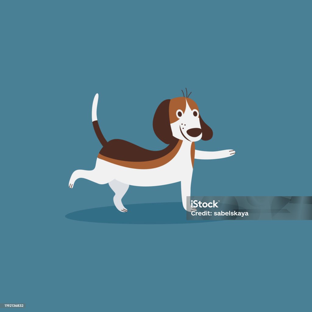 Chú Chó Beagle Hài Hước Tập Thể Dục Thể Thao Hình Ảnh Minh Họa ...