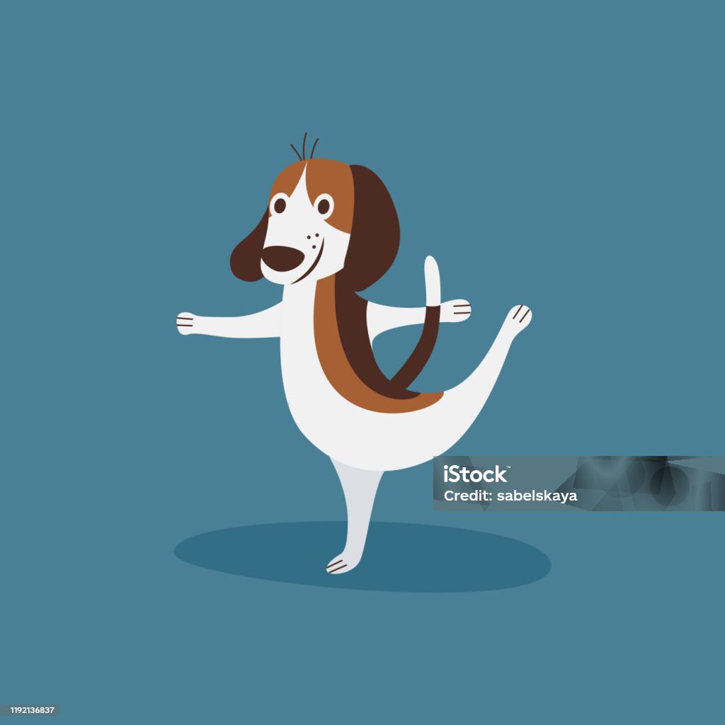 Hài Hước Beagle Làm Múa Ba Lê Vui Vẻ Nhảy Chó Con Làm Một Tư Thế ...