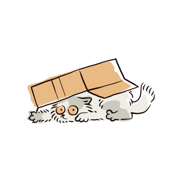 상자 아래에 숨어있는 재미있는 만화 고양이 - cat box stock illustrations