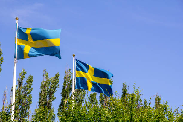 swedish flags waving in the wind - day sky swedish flag banner imagens e fotografias de stock