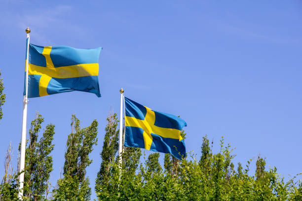 шведские флаги развеваются на ветру - day sky swedish flag banner стоковые фото и изображения