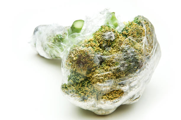 um brócolis podre embalado na folha de plástico - mildewed - fotografias e filmes do acervo