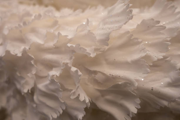 istock New Year and Christmas still life. White Rose. Artificial flower. 1192138545