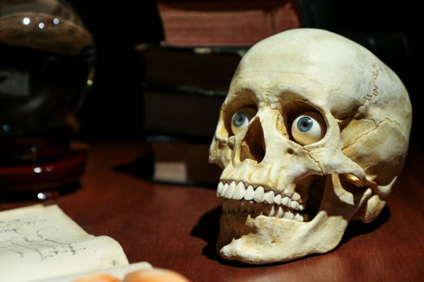 The model of the skull with realistic eyes standing on the old table among the old books and glass ball.