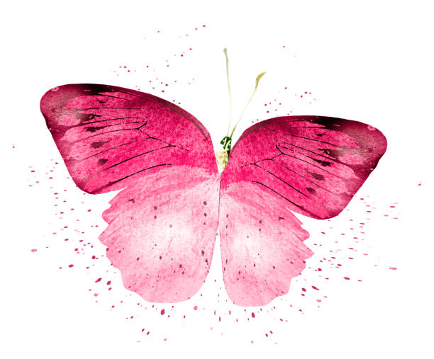 istock Watercolor butterfly , isolated on white background 1192143789