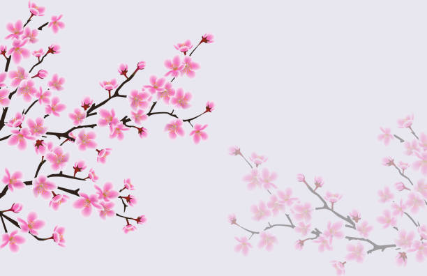 istock Background with blooming pink cherry or japanese sakura flowers vector illustration. 1192146010