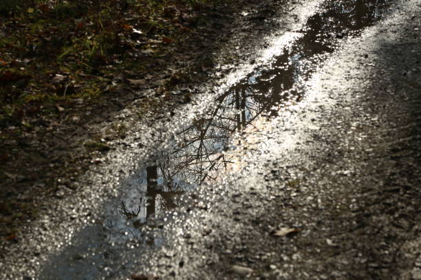 istock Autumn. Autumn forest reflected in a puddle 1192148446