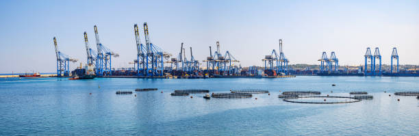 panoramic view over the marsaxlokk harbor and container terminals - harbor editorial industrial ship container ship imagens e fotografias de stock