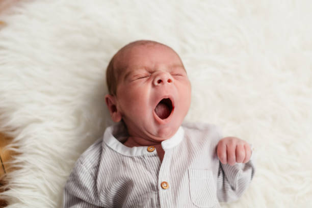 istock newborn baby rests in study session. 1192151215