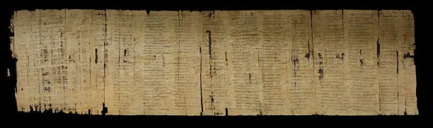 Cursive writing on papyrus. Charta Boriana.