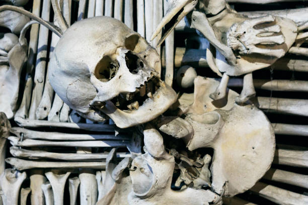 istock Human skulls and bones, Kutna Hora, Czech 1192151700