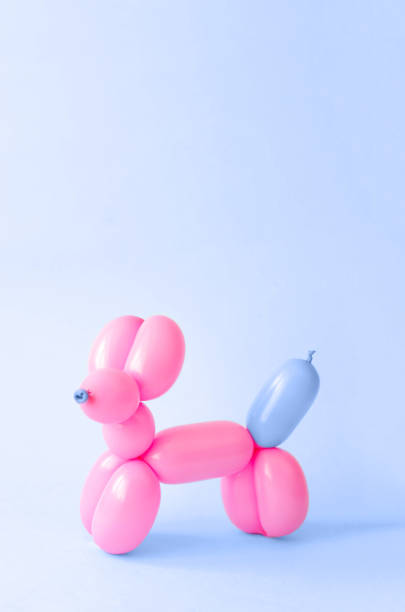 balle en forme de chien sur un fond bleu classique. - balloon twisted shape animal photos et images de collection