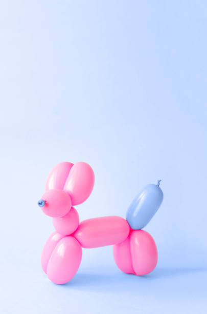 piłka w kształcie psa na klasycznym niebieskim tle. - balloon twisted shape animal zdjęcia i obrazy z banku zdjęć