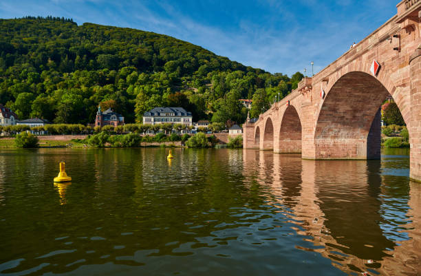 istock Heidelberg town on Neckar river, Germany 1192157401