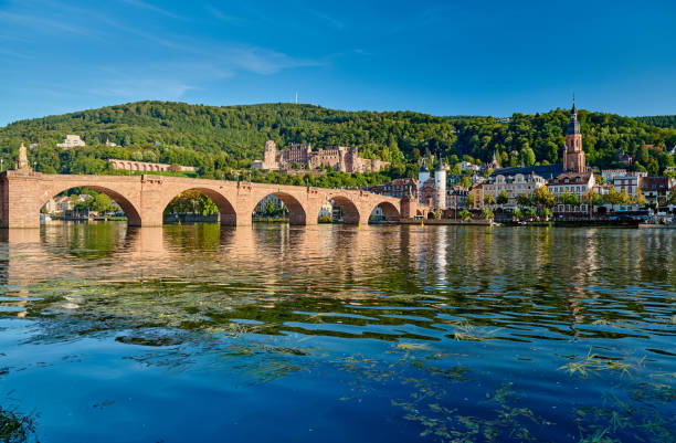 istock Heidelberg town on Neckar river, Germany 1192157416