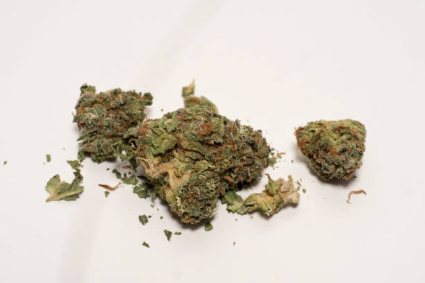 istock Medical cannabis bud White background 1192158071