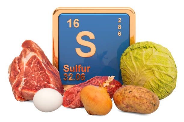 istock Foods Highest in Sulfur, 3D rendering isolated on white background 1192158710