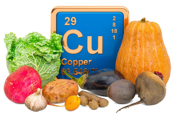 istock Foods Highest in Copper, 3D rendering isolated on white background 1192158772