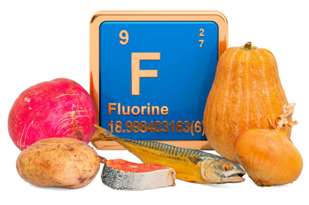 istock Foods Highest in Fluorine, 3D rendering isolated on white background 1192158787