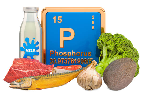 istock Foods Highest in Phosphorus, 3D rendering isolated on white background 1192158793