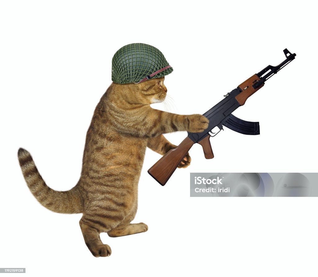 Katzensoldat mit Maschinengewehr Bild verfügbar - Bild herunterladen...