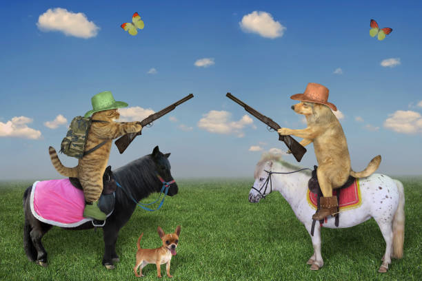 istock Dog and cat ride horses in meadow 2 1192159149