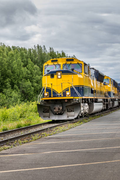 train allant sur une voie ferrée au parc national de denali alaska - scenics denali national park alaska usa photos et images de collection